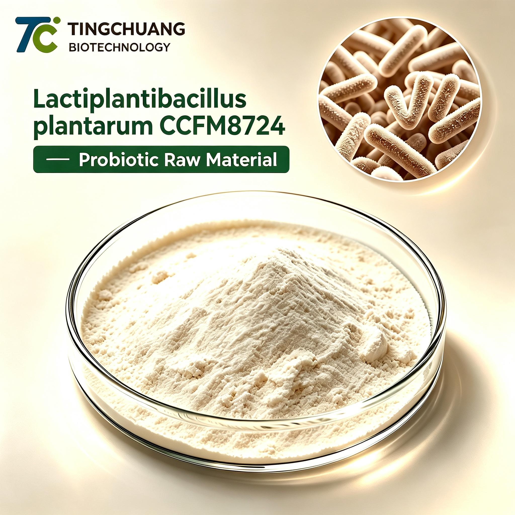 Lactobacillus plantarum CCFM8724 Probiotic Raw Material, High Quality Probiotic Powder and Functional Probiotic Ingredient for Bulk Supply